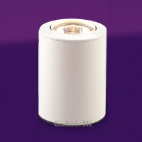 208-1238  LED White Floor Uplighter