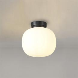 Flush Ceiling or Wall Light Matt Black 